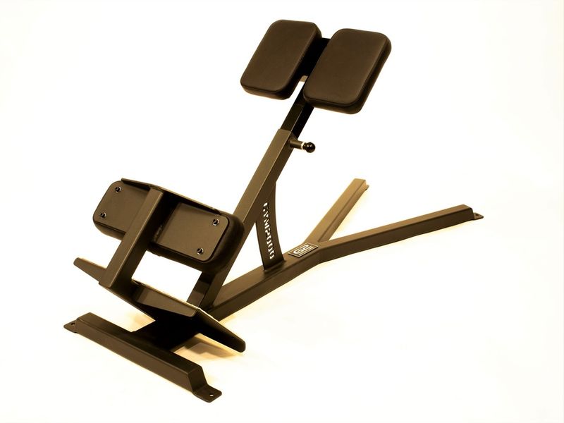 GYM2000 Rygghev 45gr.