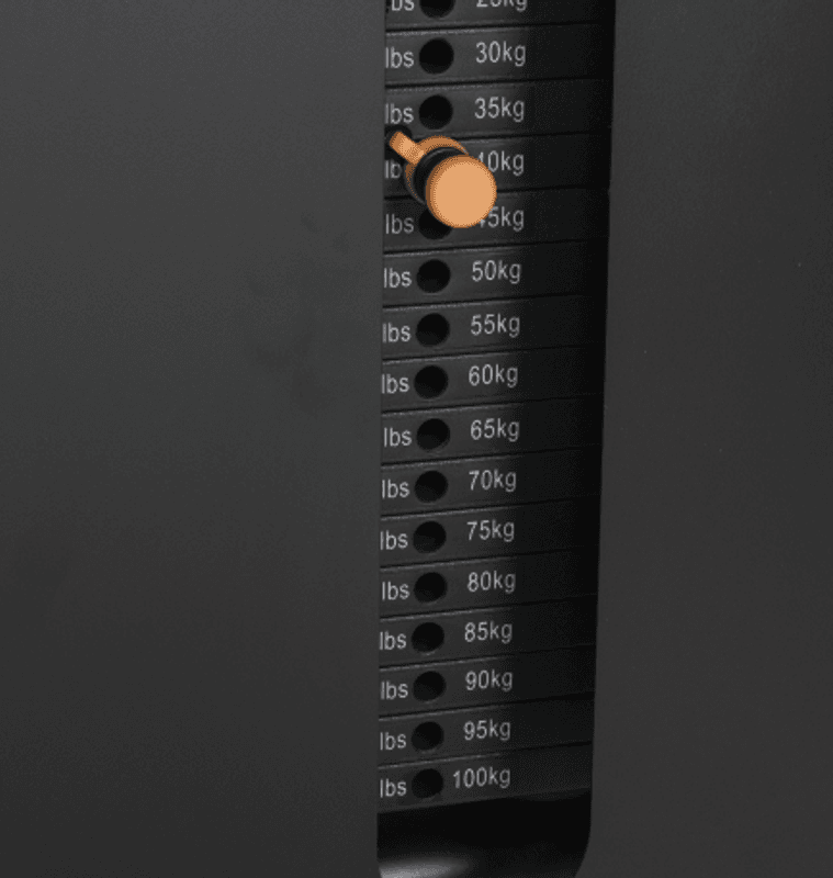 TF Standard WS, Dual Adjustable Pulley