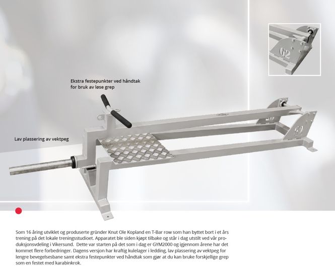 Hovedbilde GYM2000 T-Bar Row