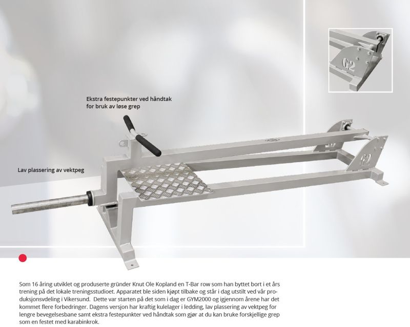 GYM2000 T-Bar Row